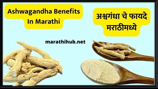 ashwagandha-benefits-in-marathi