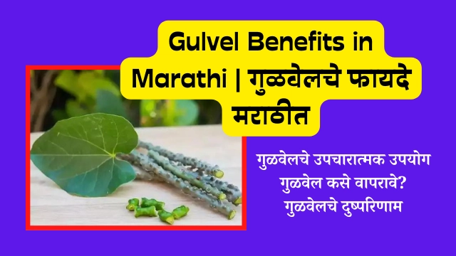 Gulvel Benefits in Marathi