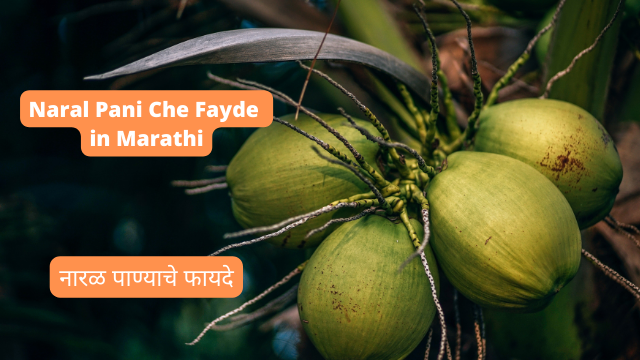 Naral Pani Che Fayde in Marathi