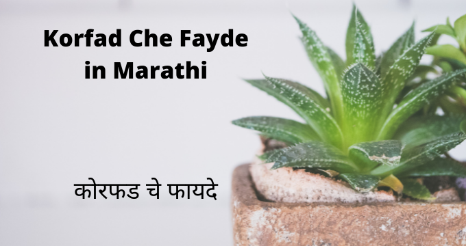 Korfad Che Fayde in Marathi